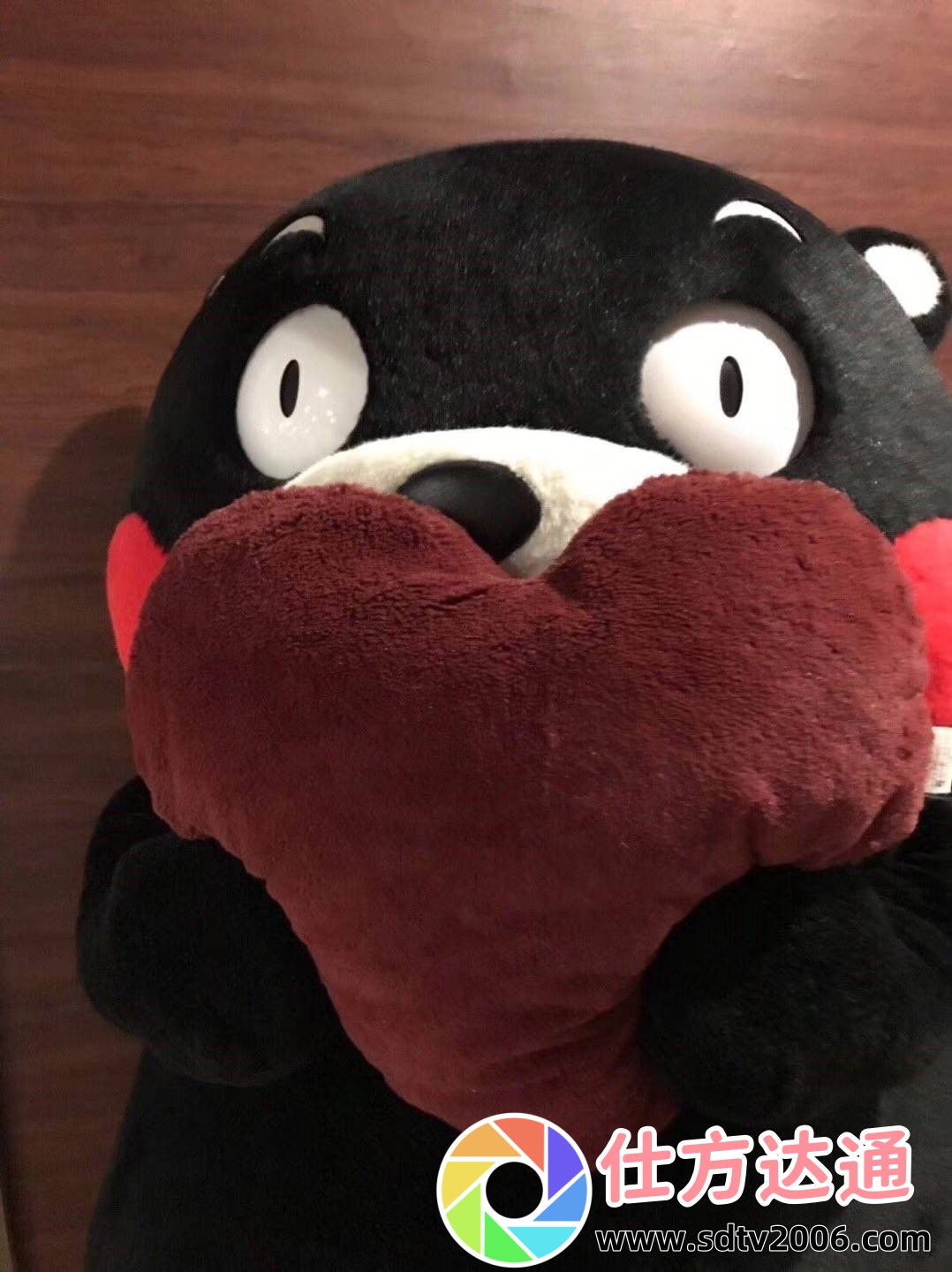 戴上尿锁不能尿知乎?揭秘这一神秘现象背后的科学原理!
