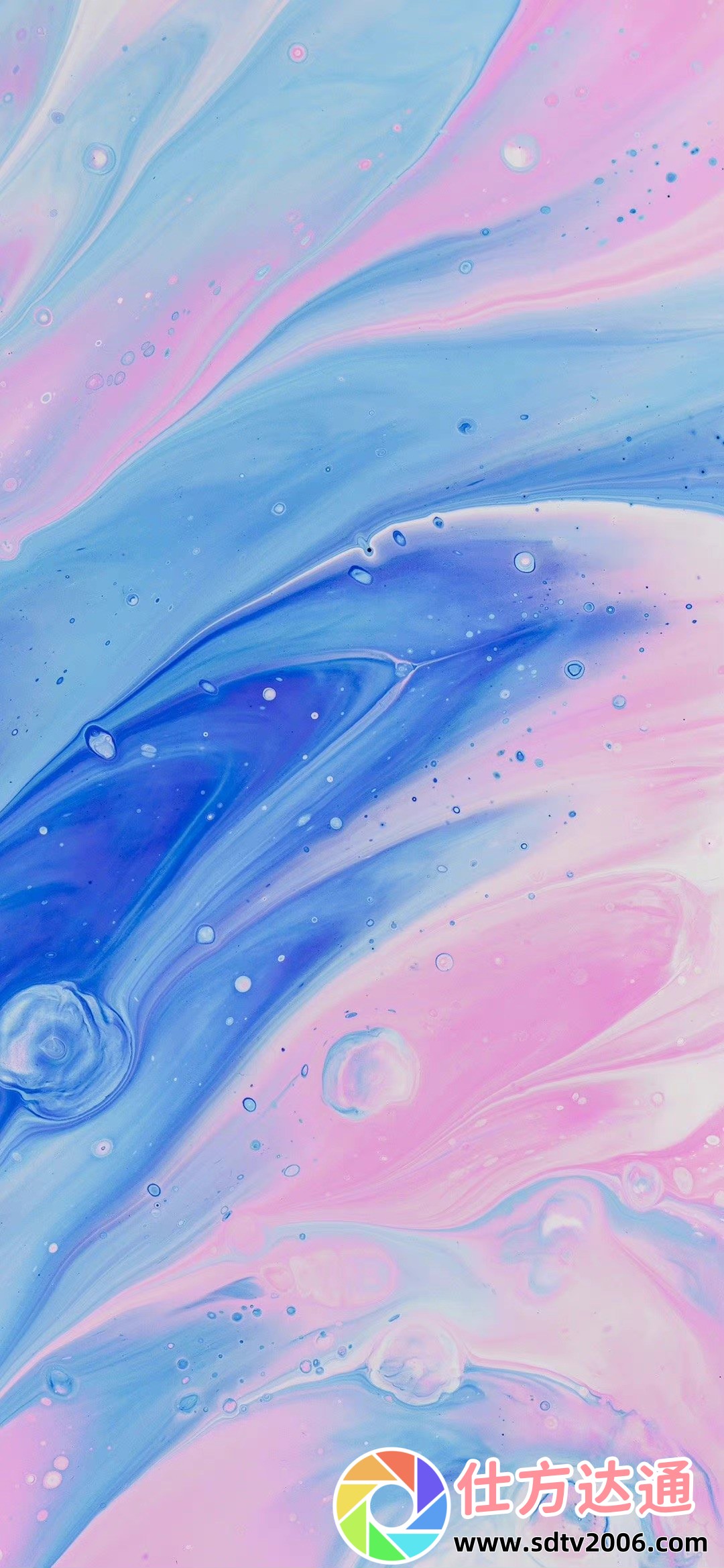 【揭秘】SEO短视频网页入口网站推广:如何让你的流量暴涨10倍?