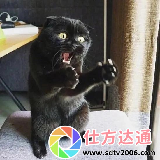 师傅推入合欢丸H:揭秘古代秘方的神奇功效与现代应用