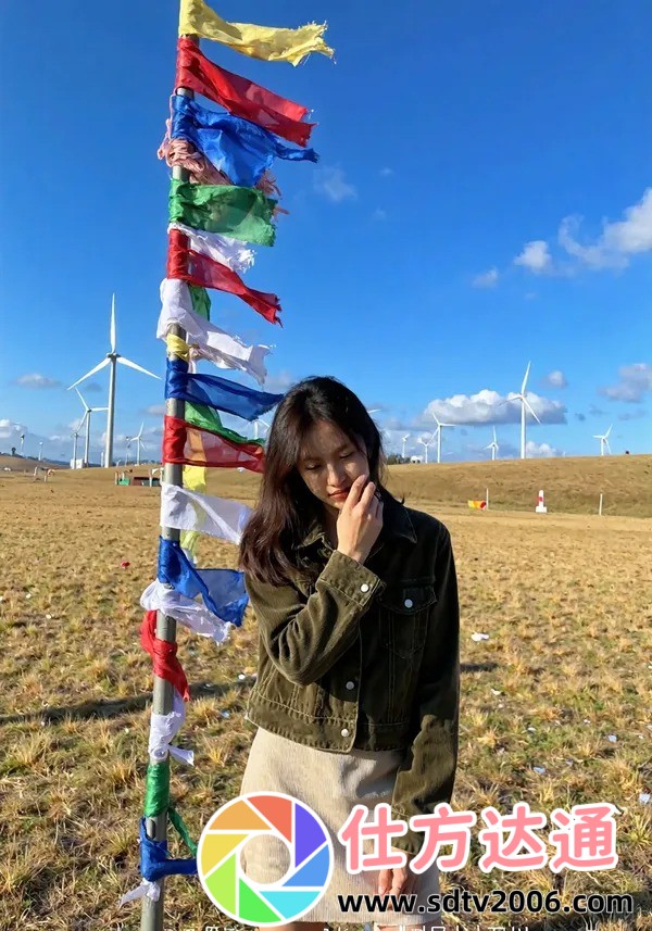 【揭秘】触手面包车:你不知道的科幻与现实的奇妙结合!