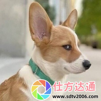 快手怎么删除自己的作品