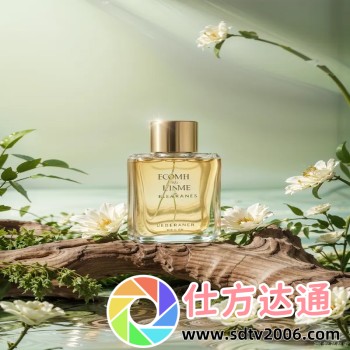 一对一视频直播app开发