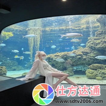 看电影的软件