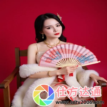 指令