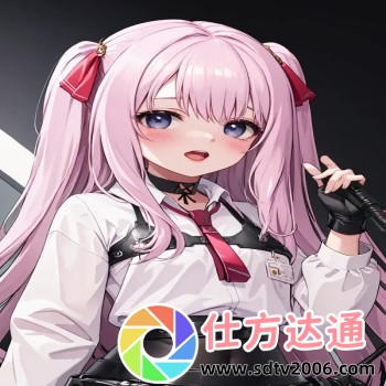 欧美私人家庭影院