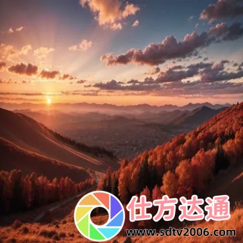 小九