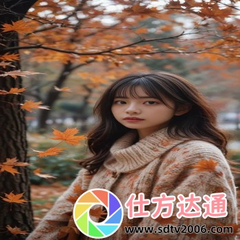 破解游戏盒子