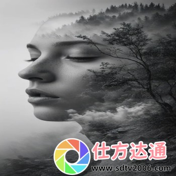 愤怒的小鸟星球大战