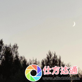 窝窝在线观看免费播放电视剧