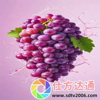 茄子视频免费观看无限app下载