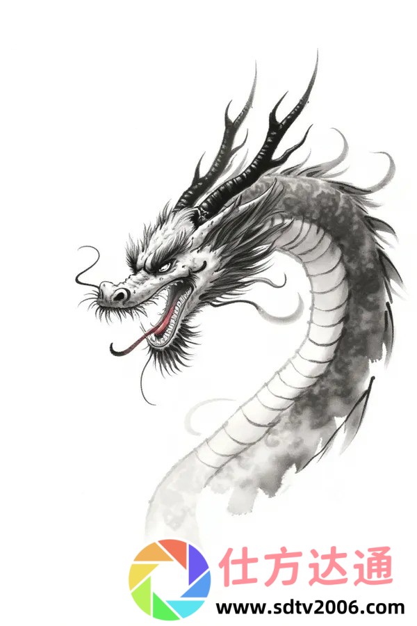 酒桌游戏大合集：如何在聚会中快速成为焦点？