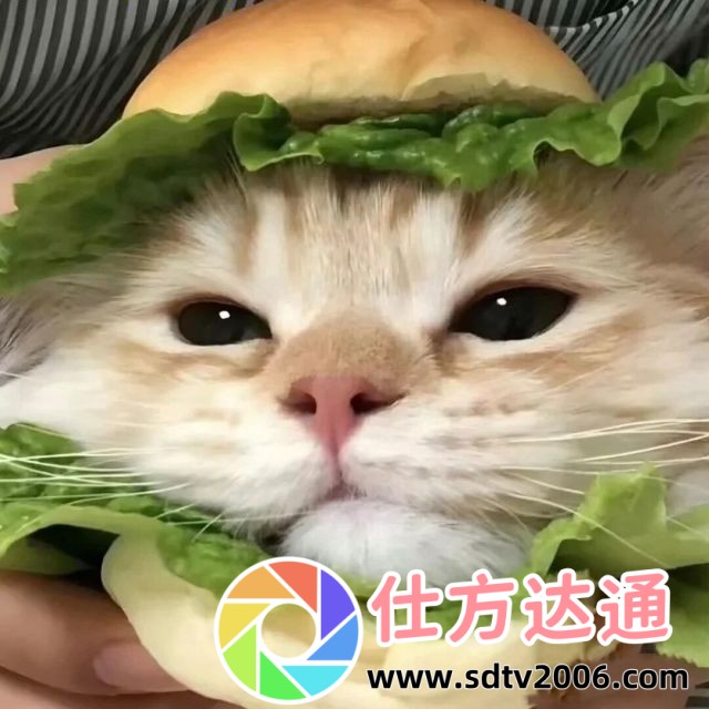 台湾版《魂销骊宫》与大陆版的差异，有哪些值得关注的特点？