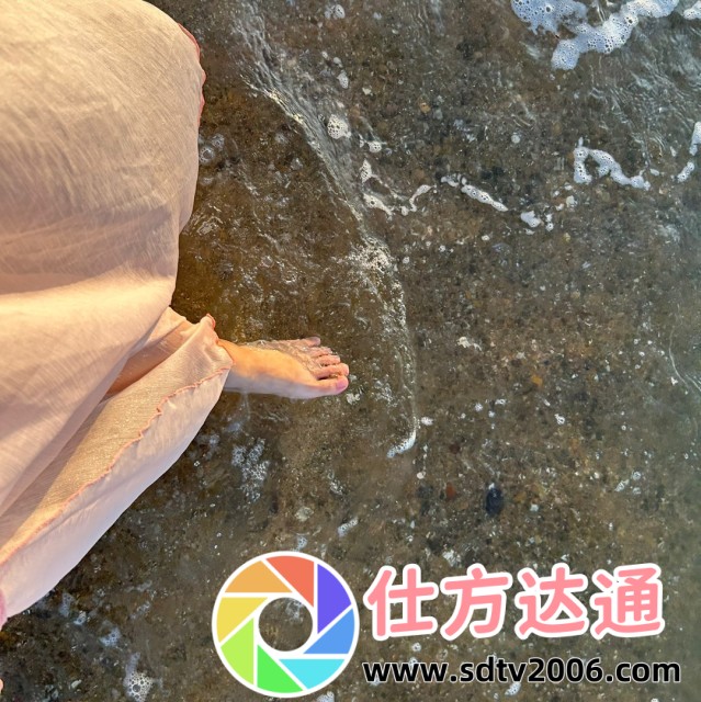 偷风不偷月：你知道这句诗背后的深意吗？探秘古诗中的情感表达！