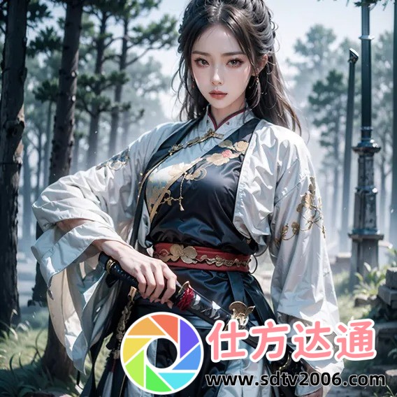 暗卫营大型HPN：一场信息安全的革命