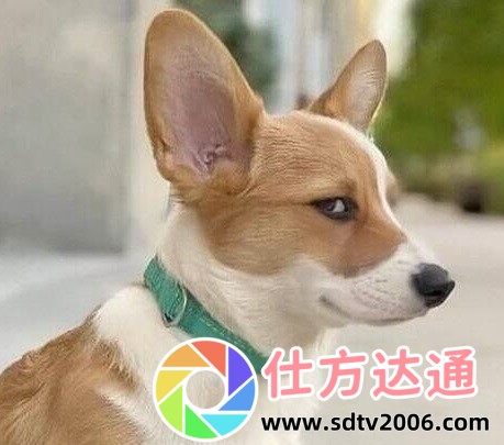 西方人文艺术的终极魅力，竟然藏着这些不为人知的秘密！